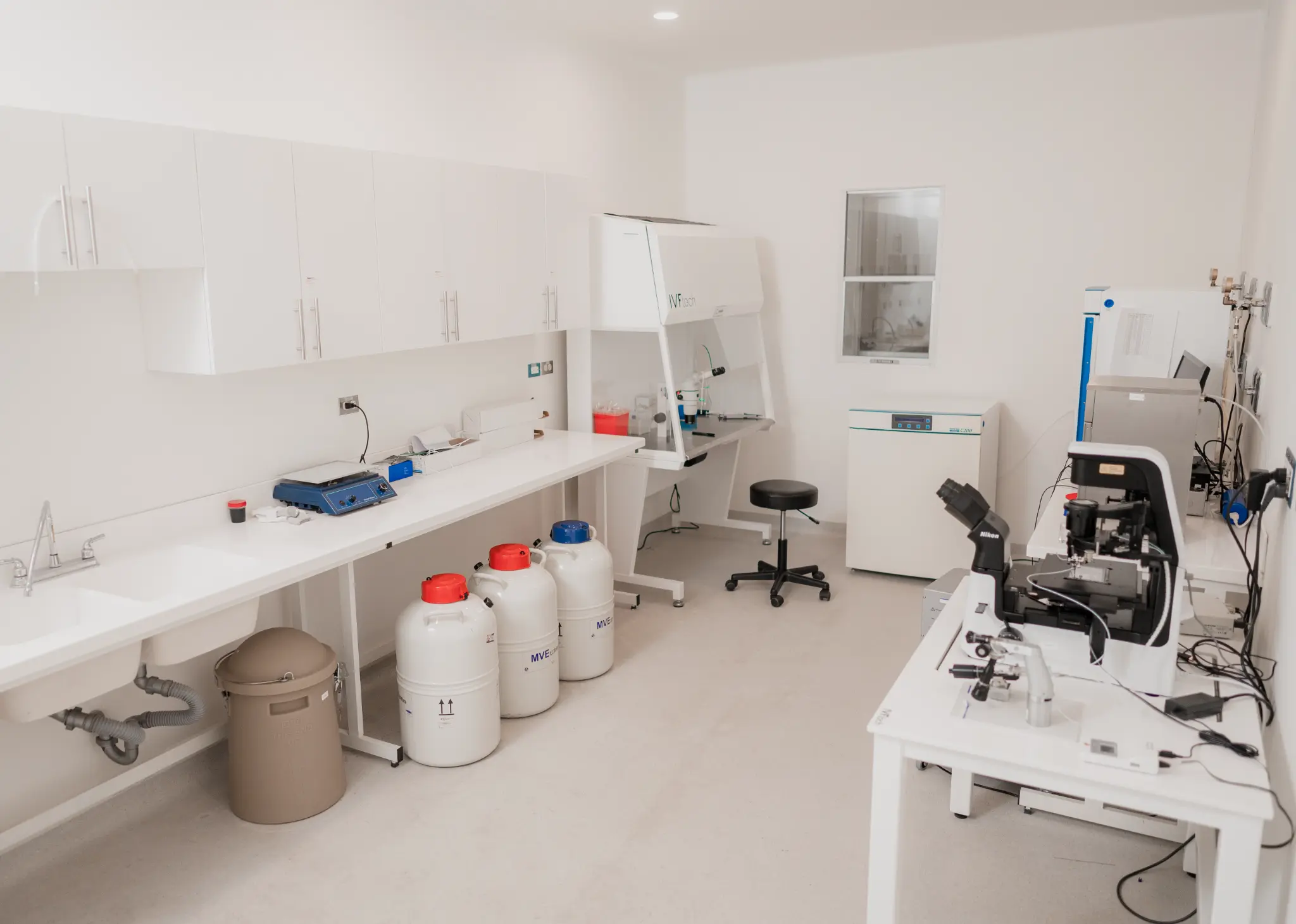 Laboratorio de embriología